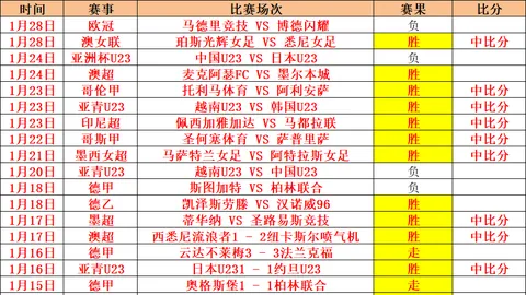 辛纳澳网3-0横扫德米纳尔，成功卫冕晋级男单四强